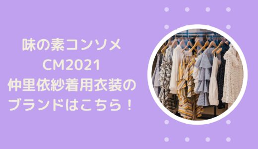 コンソメ(味の素)CM2021｜仲里依紗着用衣装のブランドはこちら！
